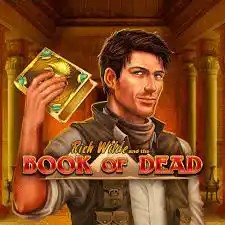Book of Dead game by Play'n GO – logo hosted on Kyngs Casino